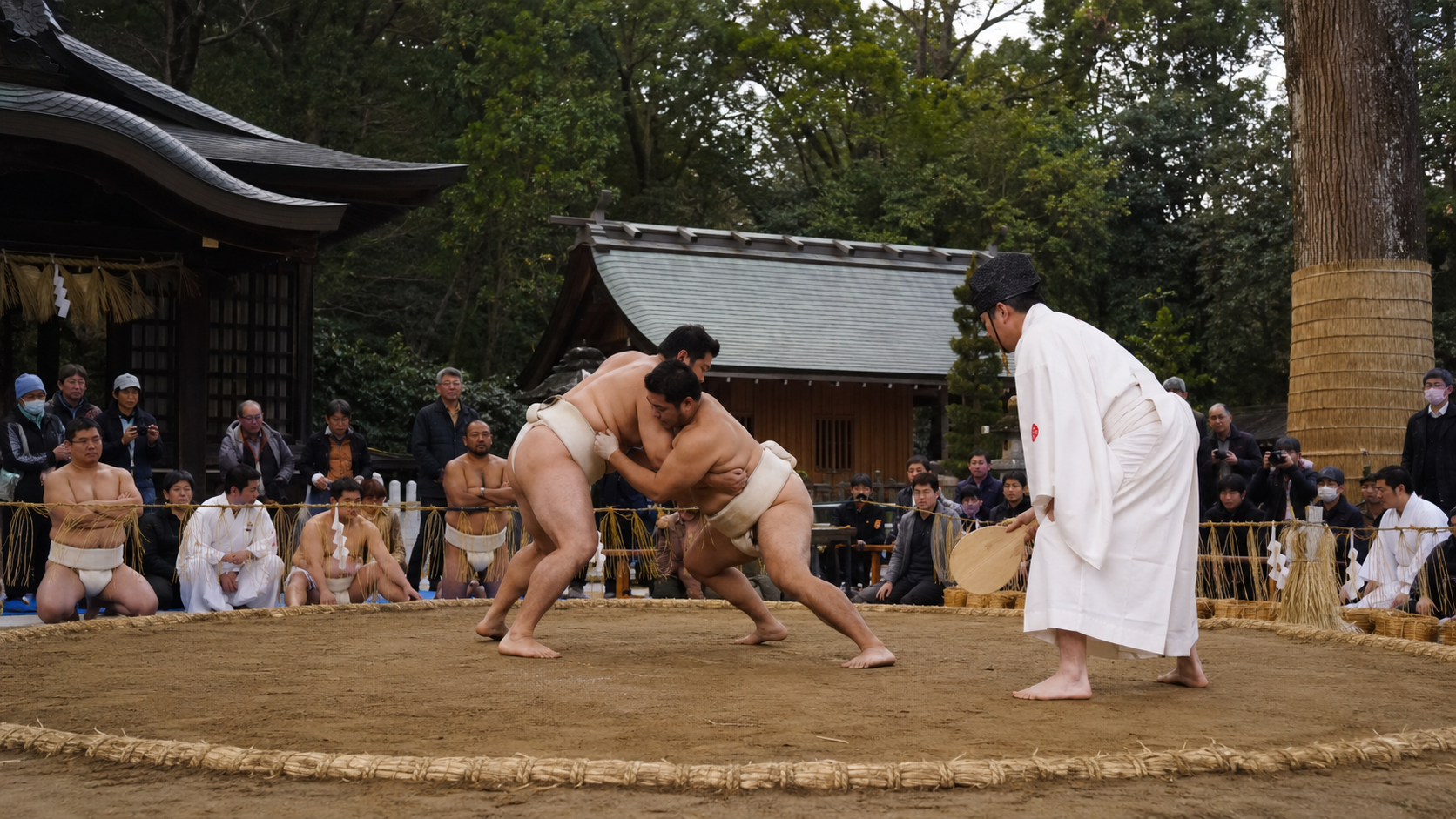 松尾大社八朔祭の境内で行われる奉納相撲をイメージした土俵風景