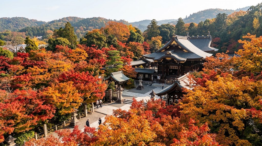 北野天満宮もみじ苑の展望所から見下ろす、国宝御本殿（社殿）と境内を彩る広大な紅葉のパノラマ。歴史ある瓦屋根と、赤や黄色に染まる木々が織りなす秋の全景。
